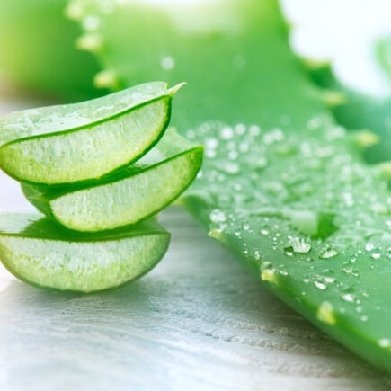 Quels sont les avantages de la pulpe d’Aloe Vera dans un régime amincissant